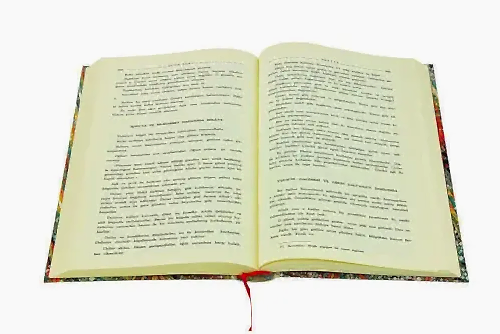 Bostan-Gülistan Altın Küpeler-Bedir Yayınevi - Bedir Yayınevi (1)