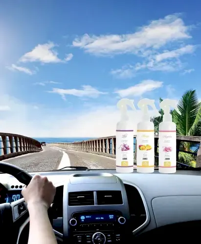 Cennetül Baki Kokusu Oto Kokusu Spreyli Araç Oda Ve Ortam Kokusu 400 Ml Kalıcı Uzun Ömürlü - Esved (1)