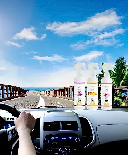 Eyüp Sultan Kokusu Oto Kokusu Spreyli Araç Oda Ve Ortam Kokusu 400 Ml Kalıcı Uzun Ömürlü - Esved (1)