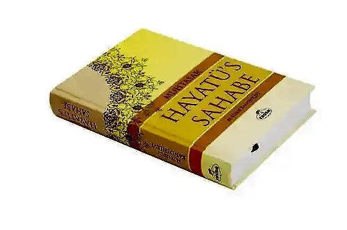 Hayatü's Sahabe -1713 - RAVZA (1)