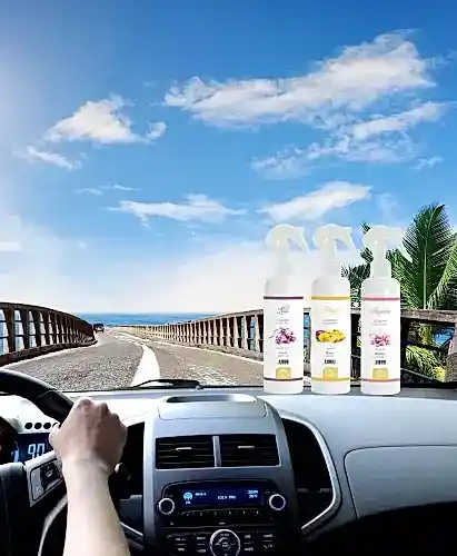 Mango Kokusu Oto Kokusu Spreyli Araç Oda Ve Ortam Kokusu 400 Ml Kalıcı Uzun Ömürlü - Esved (1)